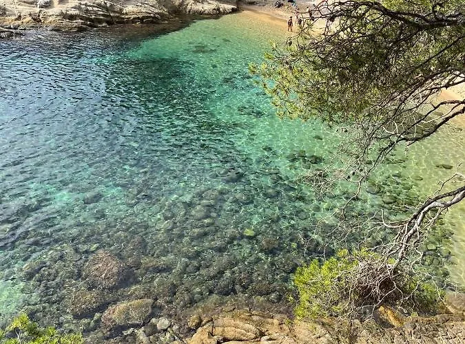 Apartament Platja Lau D Aro *